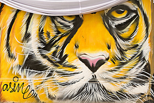 虎,涂鸦,墙壁,动物园,曼谷,泰国