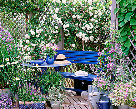 蓝色,长椅,桌子,花,藤蔓玫瑰,百合,花园,亭子