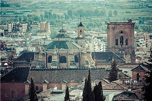 大教堂,市中心,风景,城堡,格拉纳达,格拉纳达省,安达卢西亚,西班牙,西欧
