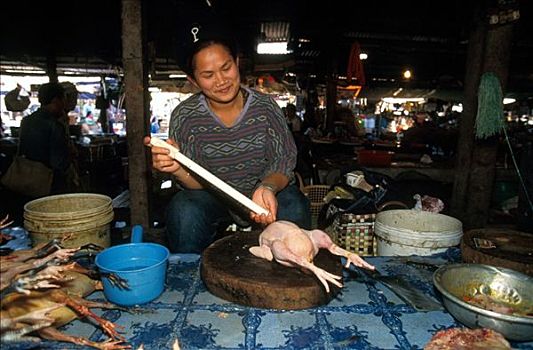 老挝,万象,鸡,店