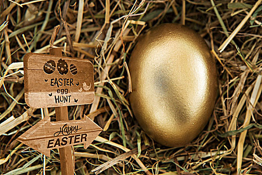 复活节彩蛋,猎捕,标识