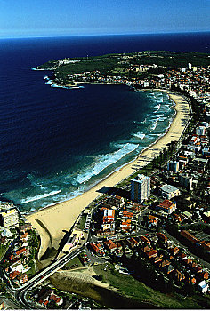 航拍,男人味,海滩,悉尼,新南威尔士,澳大利亚