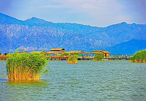 宁夏回族自治区,沙湖景观