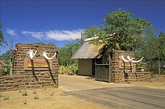 南非,克鲁格国家公园,露营