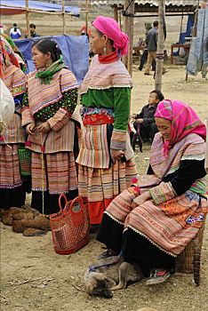 女人,少数民族,山,部落,一个,销售,狗,动物,市场,北河,省,北越,亚洲