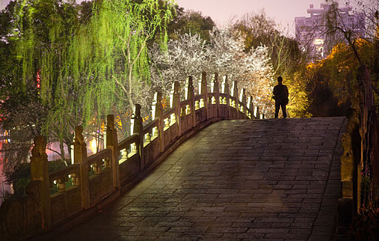 夜色,荆州,江津,很美丽