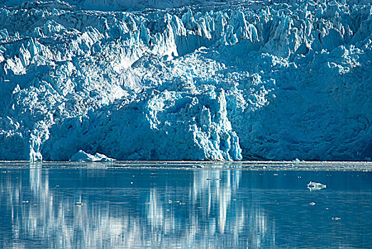 格陵兰,冰河,南方,峡湾,三个,结冰,舌头