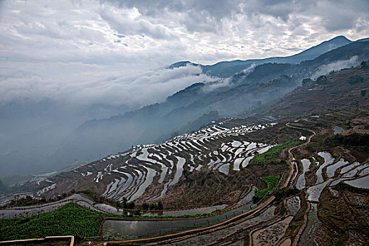 云南元江那诺乡观音山梯田