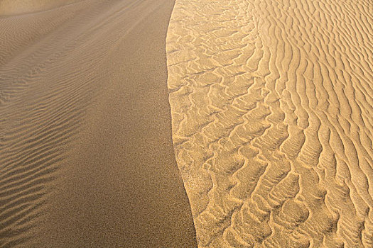 沙滩,沙丘,大卡纳利岛