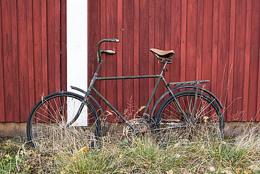 老,自行车,瑞典,红色,木屋,欧洲