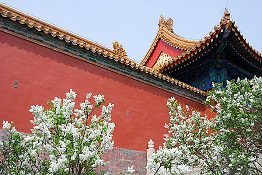 北京故宫的春景