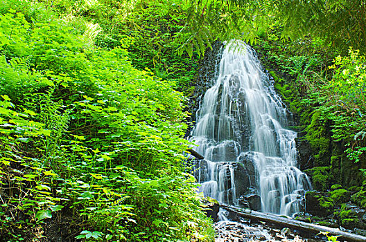 仙女,瀑布,哥伦比亚河峡谷国家风景区,俄勒冈,美国