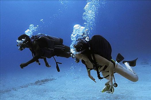 潜水者,风景,水下,牙买加