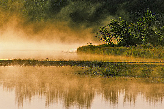 反射,树,水中,湖,瓦特顿湖国家公园,艾伯塔省,加拿大