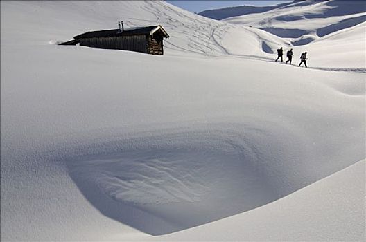 雪地鞋,远足者,草场,提洛尔,奥地利,欧洲