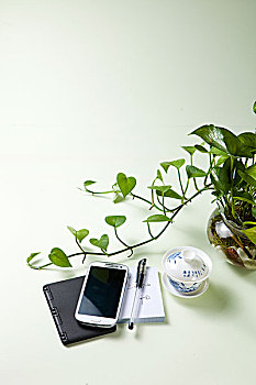 办公室水上盆景,绿叶,手机,茶杯