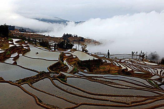 云南元阳梯田