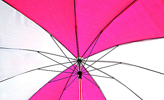 粉色,伞