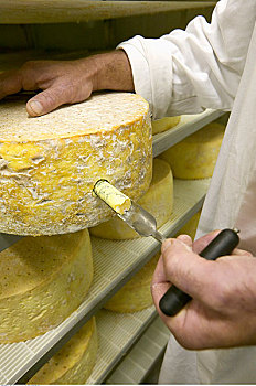 蓝纹奶酪,国王岛,乳业