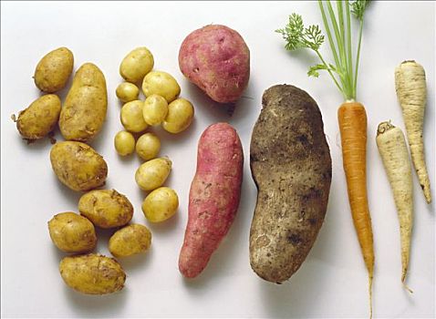 种类,土豆