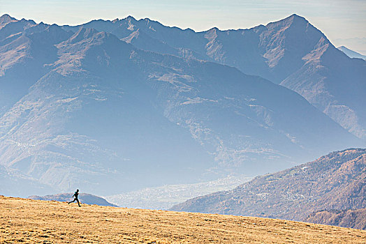 跑步,斜坡,阿尔卑斯山,背景,省,伦巴第,意大利