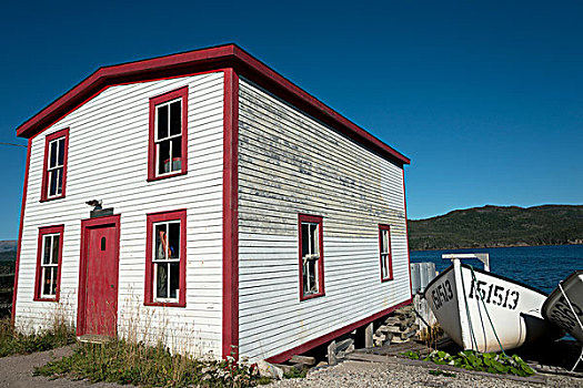 红色,白色,房子,船,岸边,水边,格罗莫讷国家公园,纽芬兰,加拿大