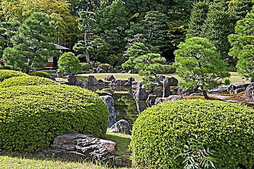 日本,植物,石头,装饰,花园,区域,东京