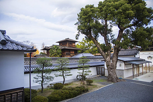 日本,京都,庙宇