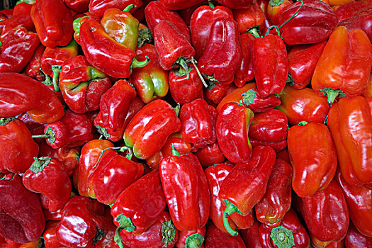 红菜椒,约旦,亚洲