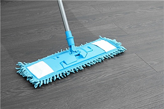 家务清洁,拖把,洗,木地板
