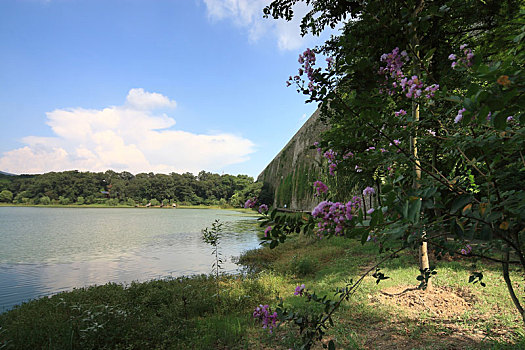 南京琵琶湖风景