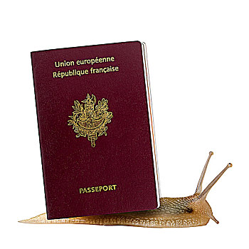 蜗牛,法国,护照,壳