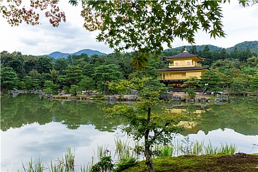 金阁寺,庙宇,京都,日本