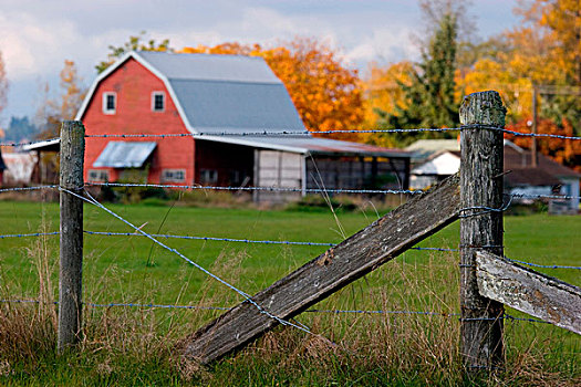 乡村,刺铁丝网,经典,建筑,后面,草地,加拿大