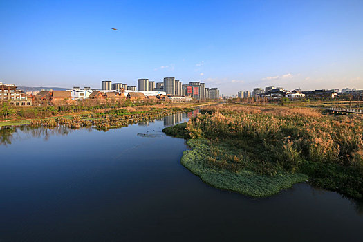 冬日滇池草海湿地公园