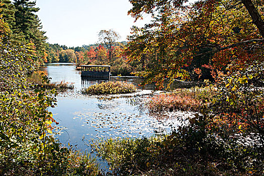 平和,湖,场景