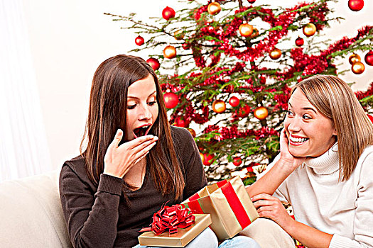 两个女人,打开,圣诞礼物,正面,树