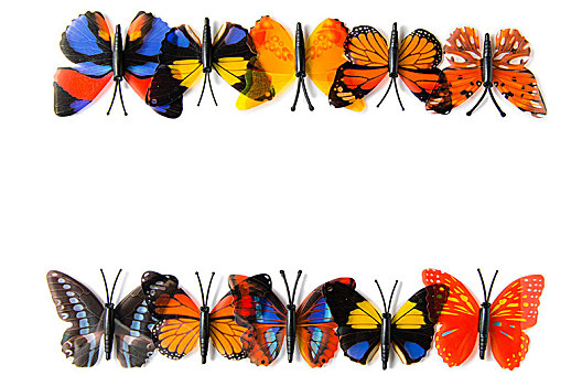 彩色,蝴蝶,隔绝,白色背景,背景