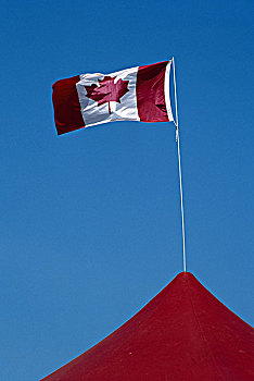 加拿大国旗,屋顶