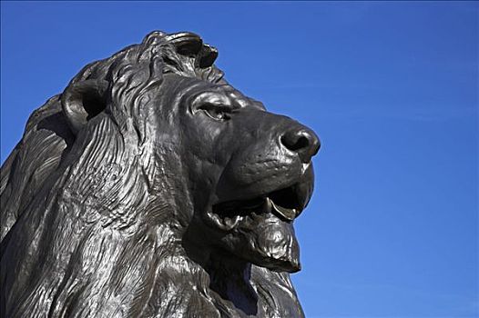 一个,巨大,青铜,狮子,纳尔逊纪念柱,特拉法尔加广场,设计