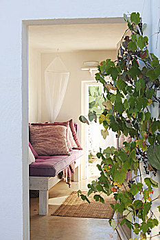 葡萄藤,靠近,入口,风景,垫子,沙发