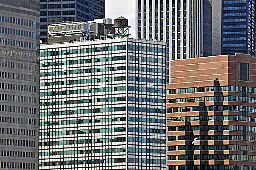 高层建筑,金融区,曼哈顿,纽约,美国,北美