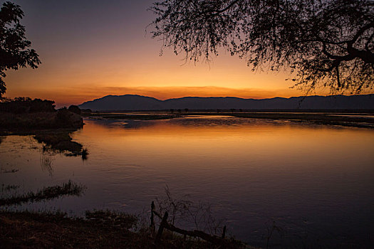 日落,上方,赞比西河,津巴布韦