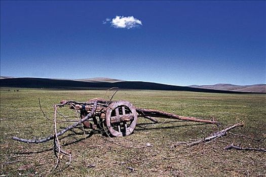 草原,木质,蒙古,亚洲