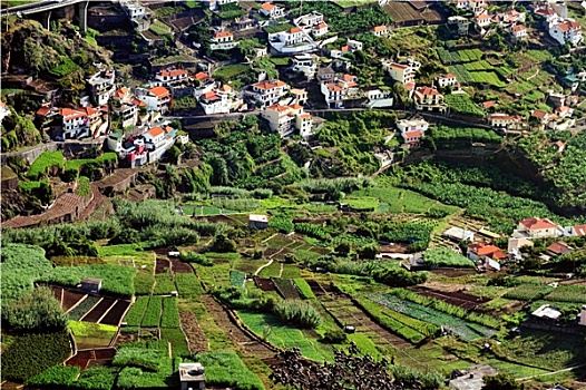 乡村,南方,海岸,马德拉岛,岛屿,葡萄牙