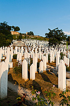 战争,墓地,萨拉热窝,波斯尼亚,黑塞哥维那