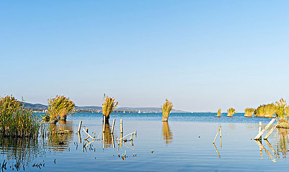 巴拉顿湖,匈牙利,蒂哈尼,东欧,大幅,尺寸