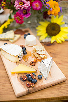 品种,奶酪,木板