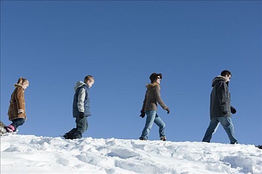 美国,犹他,大,棉白杨,峡谷,家庭,走,雪中