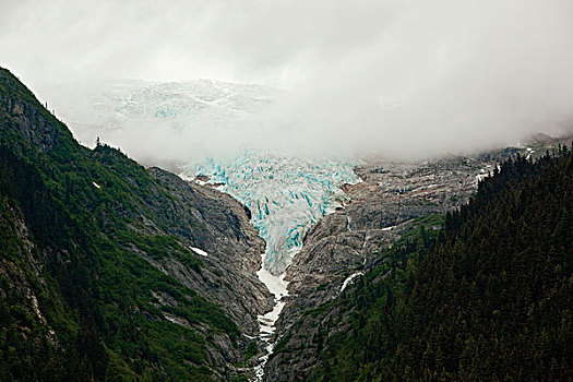 冰河,蓝色,冰,晨雾,沿岸,雨,树林,小路,阿拉斯加,美国